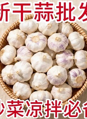 2026金乡大蒜新干蒜山东紫皮大蒜农家自种多瓣蒜干蒜整箱包邮批发
