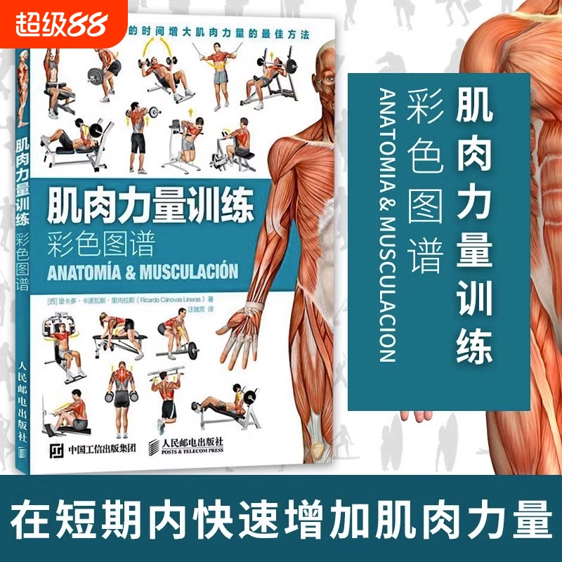 肌肉力量训练彩色图谱 肌肉锻炼指南 肌肉训练图解教程书籍 肌肉训练全书 拉伸全书 专业指导计划 减肥减脂瘦身书籍cc