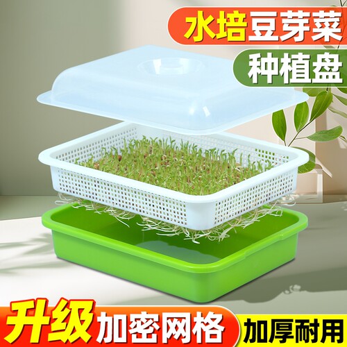芽苗菜育苗盘豆芽发芽神器无土栽培专用盆水培家用控根板秧苗盘