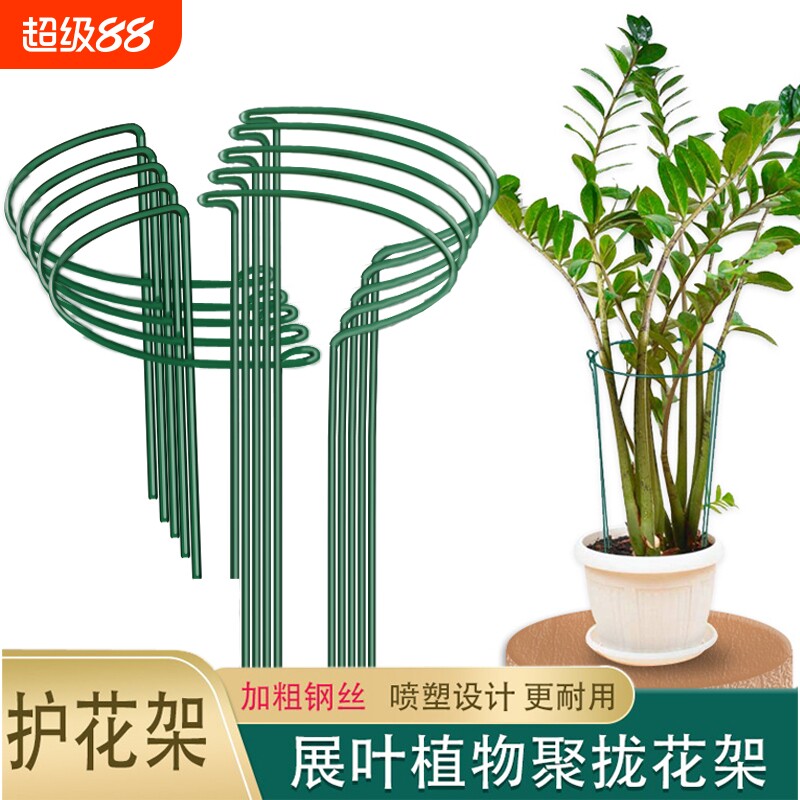 花支撑架金钱树植物花支架花架支撑杆花卉龟背竹防倒伏虎皮兰护花图片
