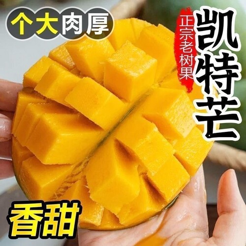四川攀枝花凯特芒果新鲜应季水果澳芒青整箱包邮特大青果当季