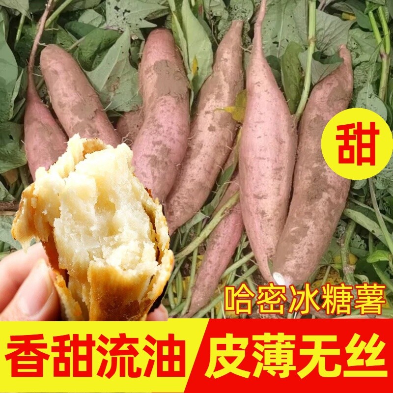 陕西沙地哈密白薯正宗冰糖薯奶油蜜薯沙地番薯新鲜发货包邮