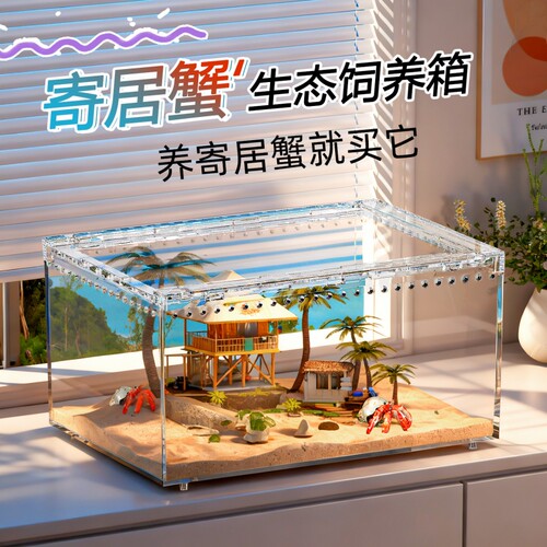 爬宠饲养盒角蛙饲养箱水陆两用带盖透明守宫睫角甲虫独角仙乌龟缸