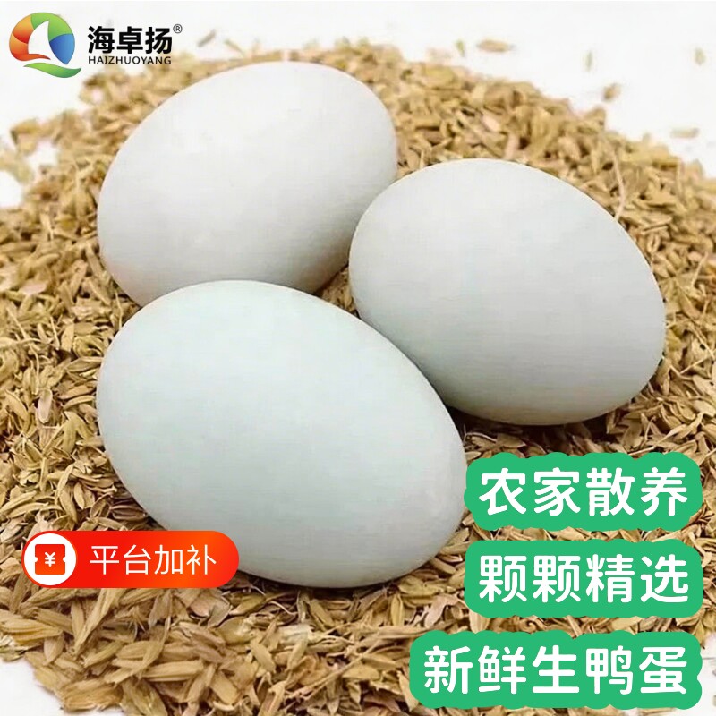 海卓扬生鸭蛋60g-70g农家散养生鸭蛋正宗新鲜河边放养鲜生