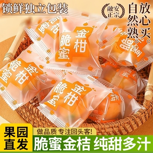 脆蜜金桔脆蜜金柑广西融安正宗当季 现摘新鲜水果第三代金桔独立装