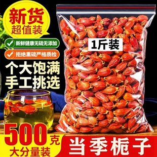 野生栀子正品黄栀子栀子果红栀子干中药材祛火山栀子食用炖汤烧菜