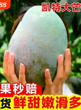 四川攀枝花凯特芒果当季新鲜水果现摘超甜彩虹芒大青吉禄芒果整箱