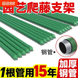 花架爬藤架葡萄架子庭院户外楼顶种菜架子黄瓜豆角架杆瓜棚支撑杆