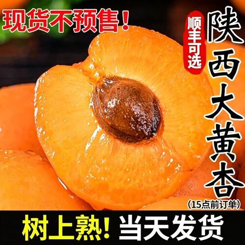 陕西大黄杏新鲜酸甜多汁大青杏子