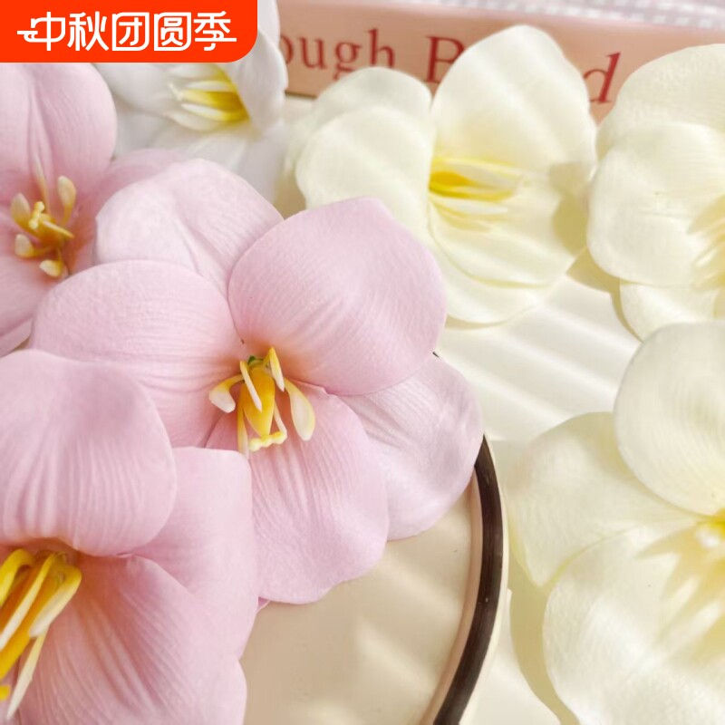 开瓣郁金香肥皂花高级质感花材图片