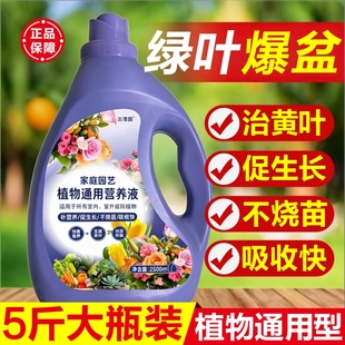 植物营养液通用型养花卉绿萝水培绿植多肉盆栽发财树肥料室内浓缩