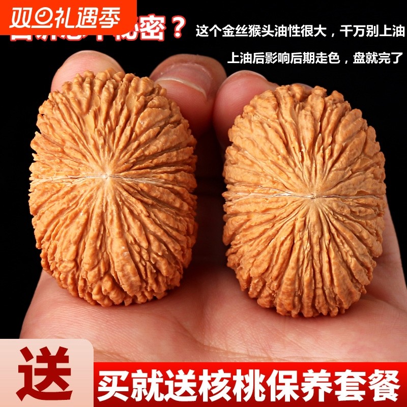 原色金丝猴头文玩小手捻核桃手把玩件野外生老树近正圆手搓盘玩