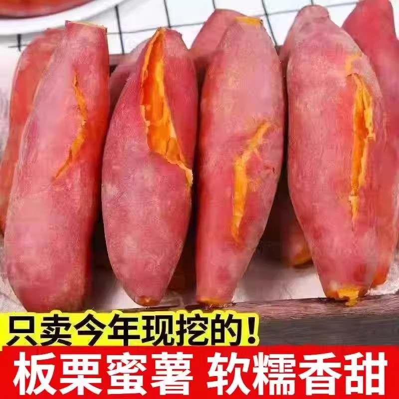 新鲜黄心红薯红心蜜薯现挖现发番薯烤蜜薯地瓜早餐香甜西瓜红