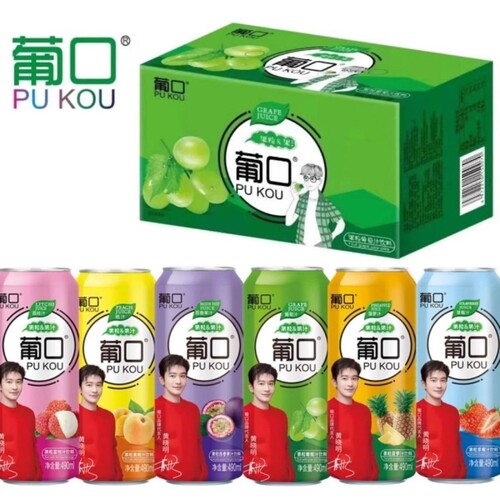 丨整箱葡口490ML*15果肉粒果汁饮料葡萄荔枝果粒饮品金银花菠萝