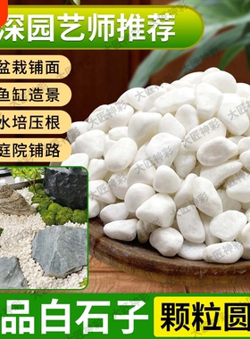 鹅卵石小白石子雨花石庭院造景多肉铺面铺路石园艺水培白色石头子