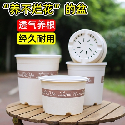 花大爷简约圆形塑料花盆透气养根绿植盆栽经久耐用白色三代加仑盆