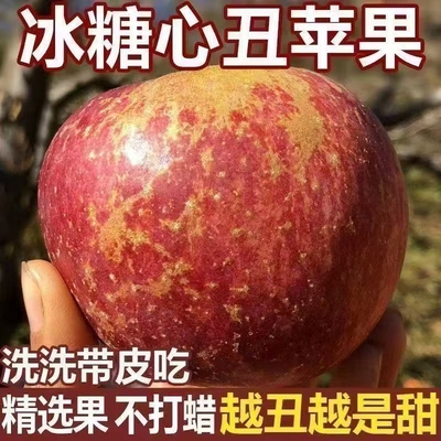 大凉山丑苹果冰糖心苹果新鲜水果当季整箱现摘四川盐源红富士多汁