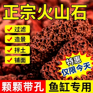 免洗火山石鱼缸专用造景底砂石头乌龟缸养鱼水草泥天然底部砂石