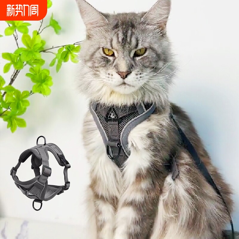 网红猫咪牵引绳防挣脱外出专用遛猫神器宠物背带链子可调节溜猫绳