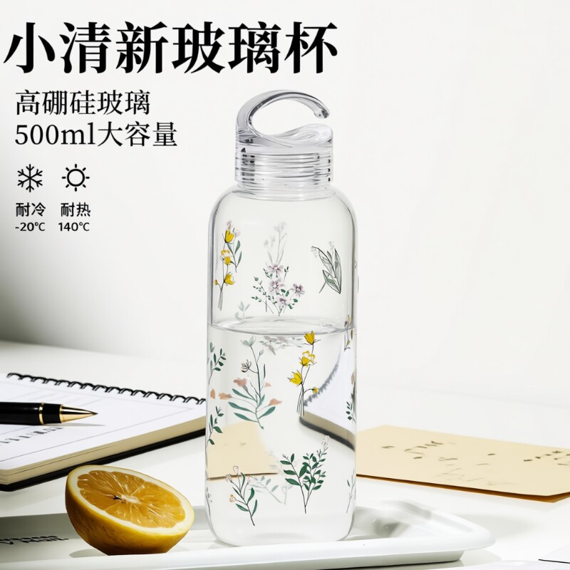 高硼硅玻璃杯女高颜值大容量玻璃耐高温咖啡杯泡牛奶水杯便携手提