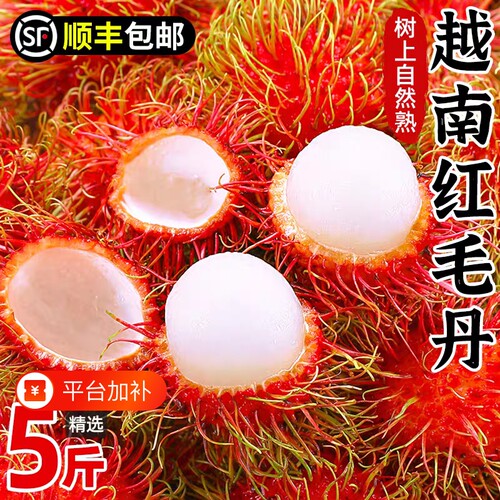 【顺丰京东】越南特级红毛丹精品鲜果新鲜现摘时令整箱大果包邮