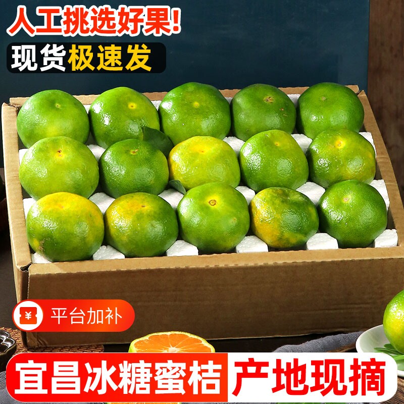 宜昌蜜橘新鲜水果5斤当季现摘青皮蜜桔无籽桔子早熟橘子整箱包邮