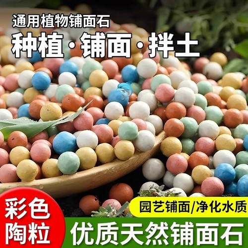 陶粒多肉营养土|回头客超2000人