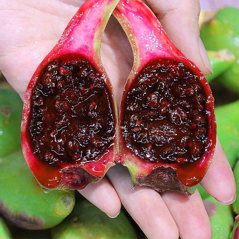 海南仙人掌果实仙桃整箱2斤南方野生果应当季罕见热带水果食用