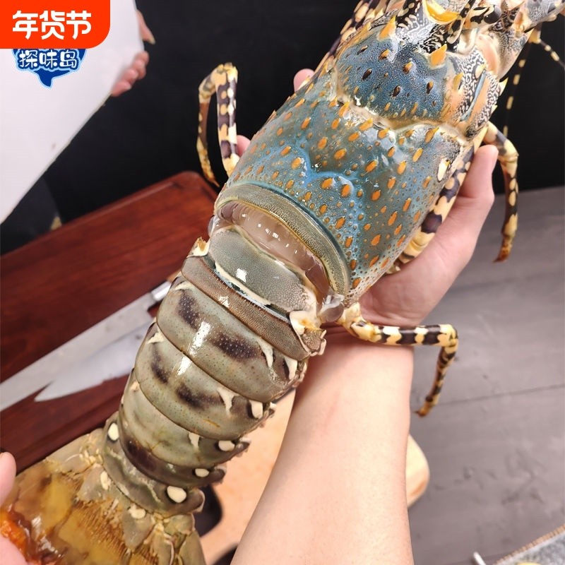 探味岛【顺丰包邮】福建新鲜大花龙鲜活大青龙澳洲大龙虾冷冻海鲜,水产肉类/新鲜蔬果/熟食,冻虾,淘宝优惠券,粉丝福利购,淘宝优惠卷