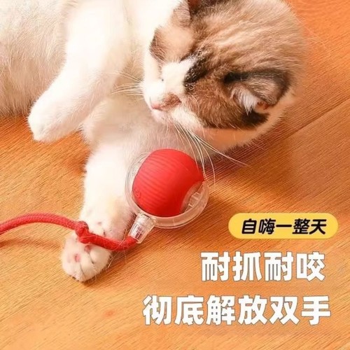 猫玩具猫咪自动逗猫球自嗨解闷