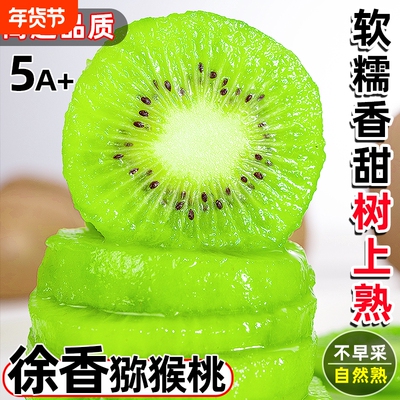 【徐香猕猴桃优选果】]商超一级