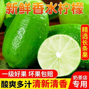 广西香水柠檬新鲜无籽青柠爆汁清香不奶茶店专用现摘现发香柠檬