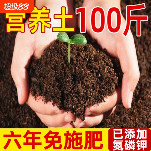 免施肥营养土通用型|万人加购