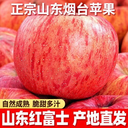 山东红富士新果烟台苹果当季新鲜水果现摘产地直发10斤脆甜糖心