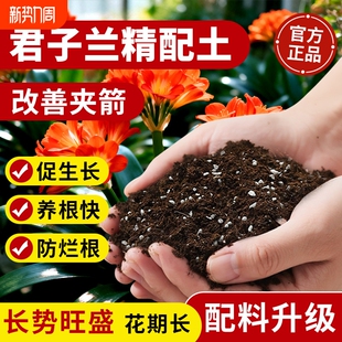 君子兰专用土兰花通用型营养土盆栽花卉有机种植土壤养花泥土肥料