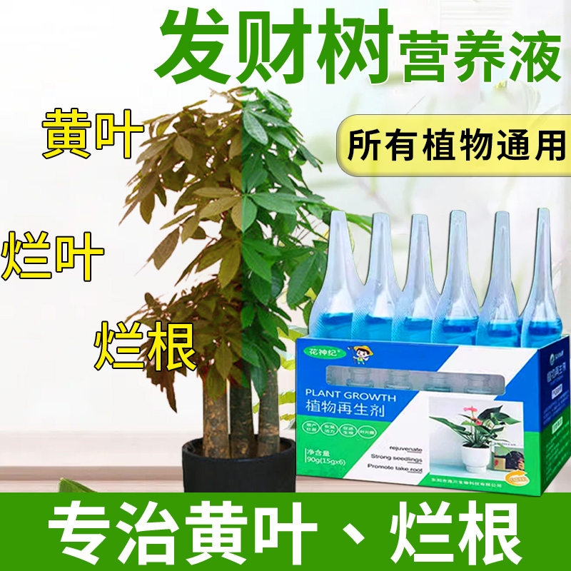 发财树专用营养液植物通用型花肥富贵竹水培绿植花卉盆栽养花肥料