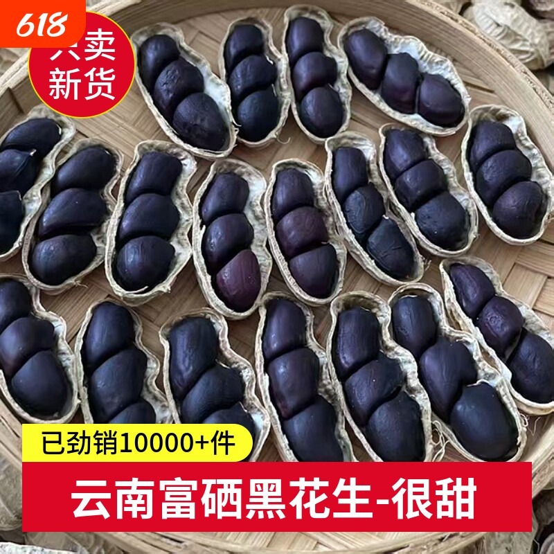 云南黑花生富硒普洱2025新货晒干种带壳黑皮花生米新鲜原味散装
