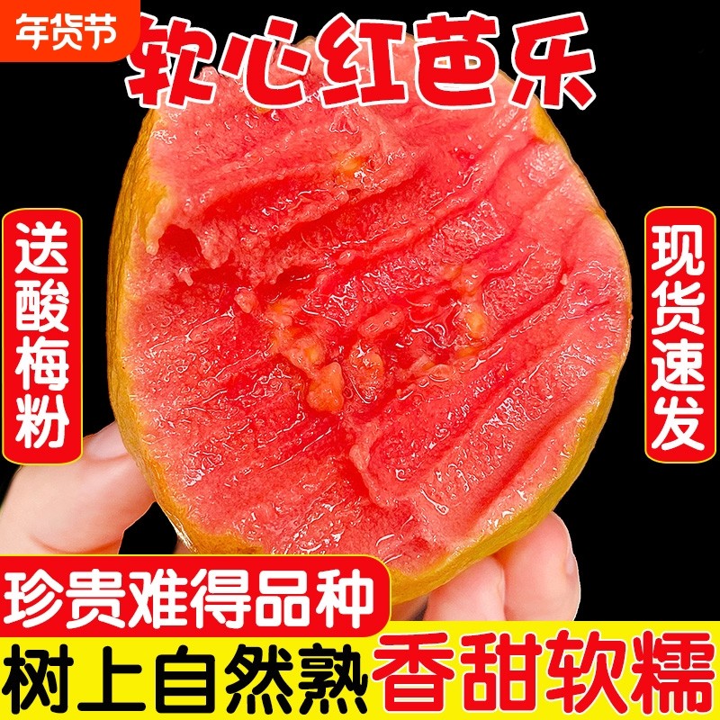 福建红心芭乐番石榴水果新鲜包邮低糖中小果翻蕃软糯巴乐果果园,水产肉类/新鲜蔬果/熟食,番石榴/芭乐,淘宝优惠券,粉丝福利购,淘宝优惠卷