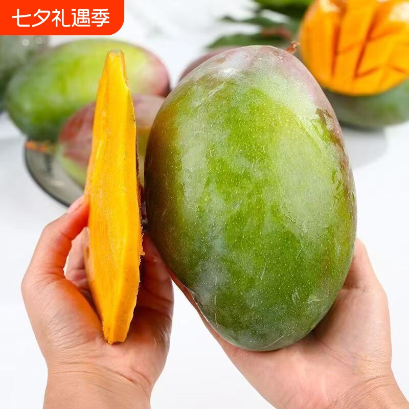 四川攀枝花凯特芒果新鲜水果5斤当季整箱包邮特大9青忙礼盒芒果