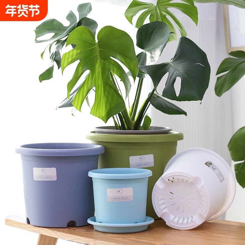 花大爷Deepot加厚加仑盆控根透气月季树脂塑料大花盆控根盆超大号,鲜花速递/花卉仿真/绿植园艺,花盆,淘宝优惠券,粉丝福利购,淘宝优惠卷