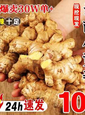 正宗云南小黄姜生姜9斤新鲜现发老姜批发沙姜蔬菜嫩姜仔当季整箱