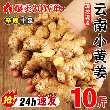 正宗云南小黄姜生姜9斤新鲜现发老姜批发沙姜蔬菜嫩姜仔当季整箱
