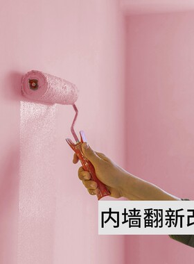 净味内墙乳胶漆室内家用白色涂料