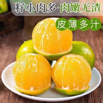 无酸清甜不腻正宗云南高山冰糖橙