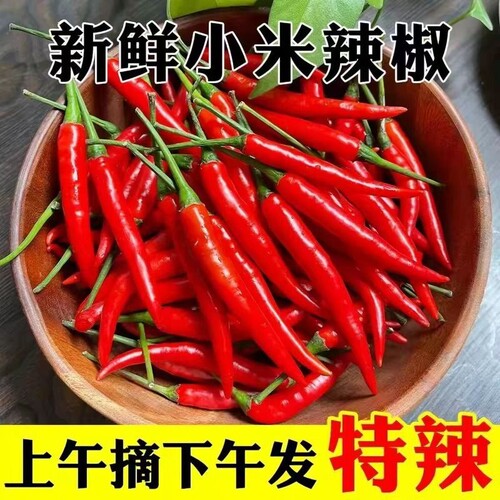 云南小米辣新鲜特辣小米椒一整箱