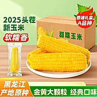 【220g*8支】正宗东北黄糯玉米香甜糯