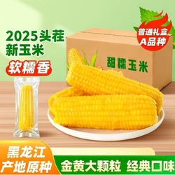 【220g*8支】正宗东北黄糯玉米香甜糯