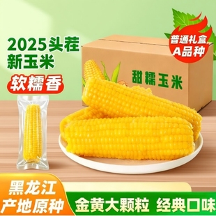 【220g*8支】正宗东北黄糯玉米香甜糯