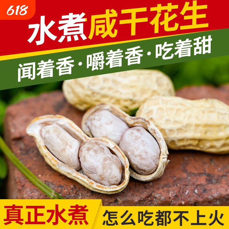 浠涵广东花生蒜香五香咸干盐水水煮花生米带壳炒货熟零食不上火