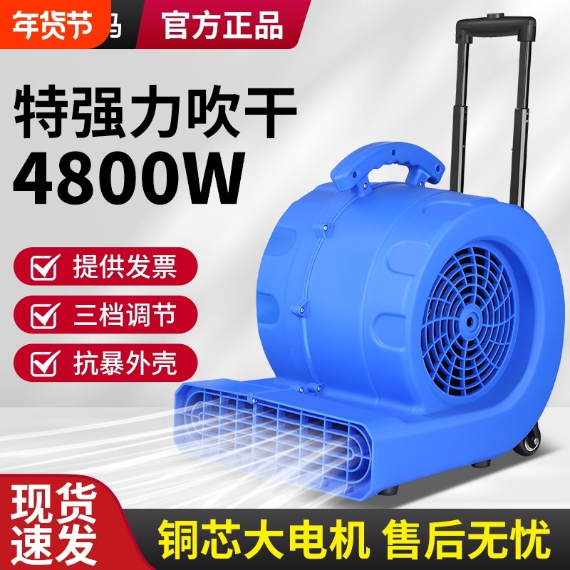 吹地机大功率地面吹干机商用鼓吹风机家用卫生间厕所地板强力除湿,生活电器,其它日用家电,淘宝优惠券,粉丝福利购,淘宝优惠卷